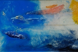 trasparenze-50x75